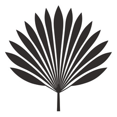 Chinese Fan Palm plant leaf Silhouette vector line art illustration