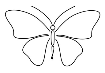 butterfly isolated on white