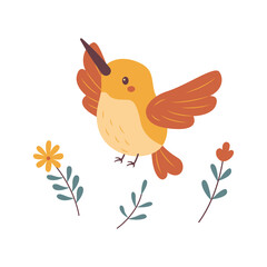 Cute Hummingbird Colibri Bird Flying with Flower Floral in Nature Park