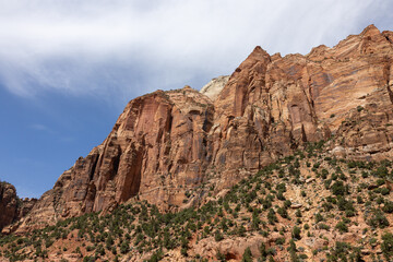 Fototapeta premium Zion National Park ZNP Sunset