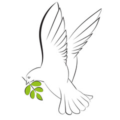 Vector silhouette of a flying dove with olive branch on a white background. Hand drawn illustration.