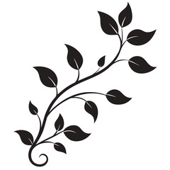 Elegant leafy vine illustration Silhouette vector line art 