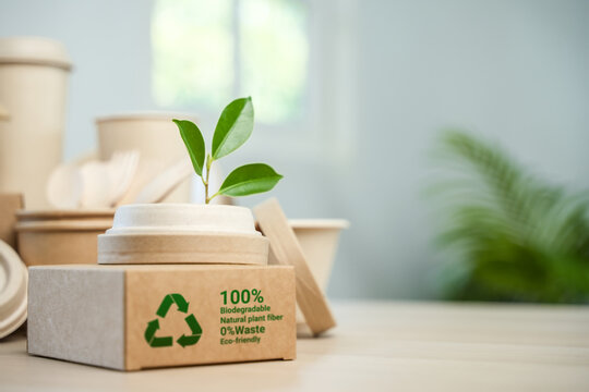 Eco-Environmentally friendly paper containers and packaging made from biodegradable materials, zero waste and recycling concept, green or disposable packaging.