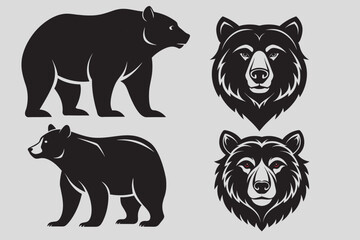 bear vector and bear head illustration