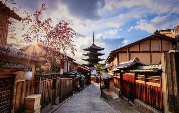 Yasaka Pagoda view with sunset and cherry blossoms in spring, Tokyo, Japan, Asia