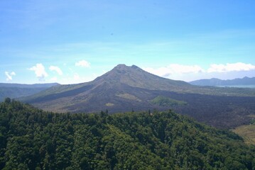 mountain and forest