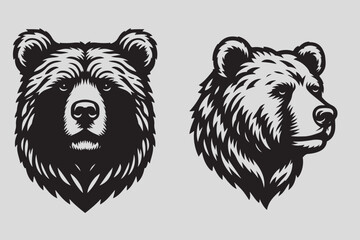 bear vector and bear head illustration