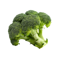 Close-Up Of A Fresh Green Broccoli Head With Detailed Texture On A White Background