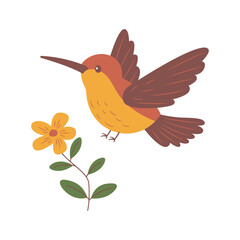 Cute Hummingbird Colibri Bird Flying with Flower Floral in Nature Park