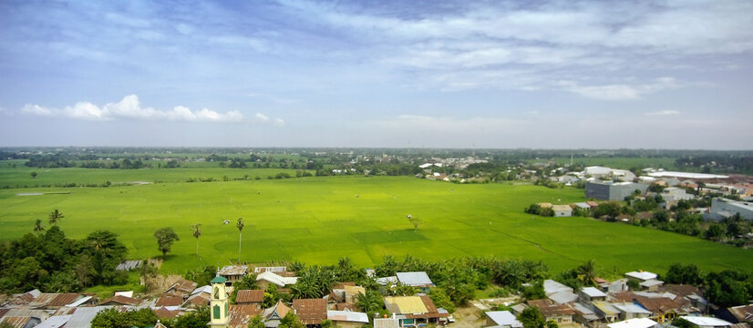 Aerial view of green nature with rice fields and housing.