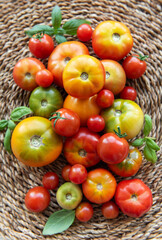 Freshly harvested tomatoes of various colors and sizes arranged in a woven basket