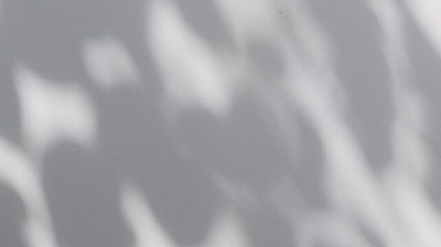 Wall interior background, studio and backdrops show products.with shadow from window color white and grey. background for text insertion and presentation product	