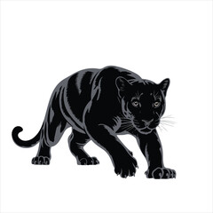tiger vector 
