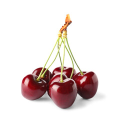 Many sweet cherries on white background