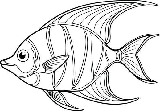 recommend clip art: Angelfish line art vector illustration on white background.