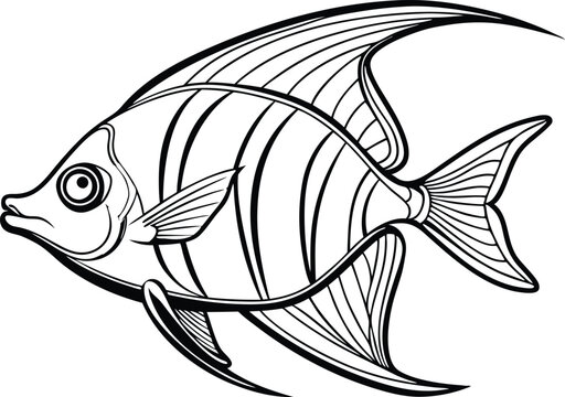 recommend clip art: Angelfish line art vector illustration on white background.