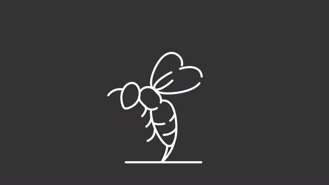 Bee venom white line animation. Wasp sting animated icon. Yellowjacket flying, moving wings. Entomology, insect. Isolated illustration on dark background. Transition alpha video. Motion graphic