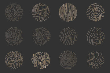 Golden thin line tree ring collection. Elegant gold wooden section texture circle. Topography map geographic grid contour. Wood stump timber.