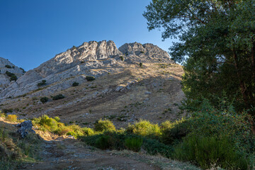 Landscape with poplar and Peña Galicia Massif in the background, Aviados, León, Castile and León, Spain.