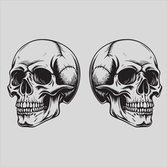 Human skull vector and design