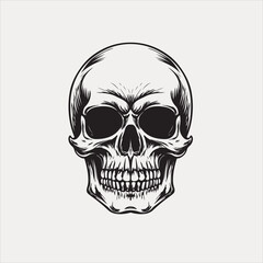 Human skull vector and design