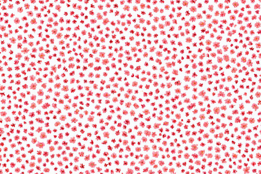 red polka dots background