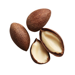 Close-up of Whole and Split Shea Nuts on Transparent Background Highlighting Natural Texture and Nutty Interior