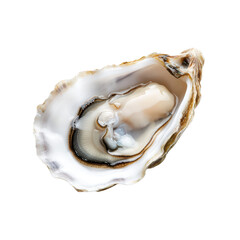 Fresh Open Oyster on Transparent Background Highlighting Texture and Detail of Shell and Meat