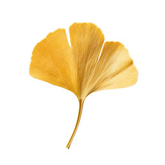Naklejka premium Golden Ginkgo Leaf Isolated on Transparent Background - Nature's Elegance in Minimalist Design