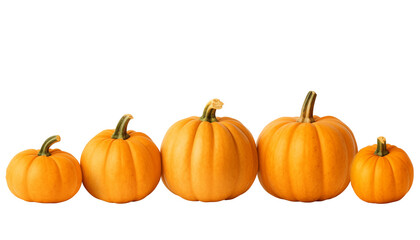 Fototapeta premium Five Orange Pumpkins Of Varying Sizes Arranged In A Row On A White Background