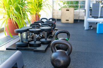 lifestyle lift kg membership old muscles personal pair metal lbs isolated pickup active