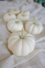 Small White Pumpkins On Textured Natural White Fabric