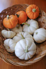 Closeup of Mini White and Orange Pumpkins in Woven Wicker Basket