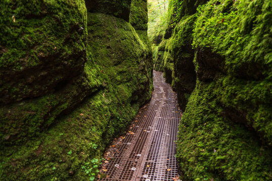 Dragon Gorge, Hiking area in Eisenach, Thuringia, Germany