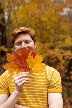 A young man holds autumn leaves while smiling in colourful fall forest