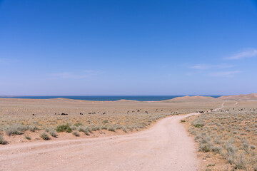 A road in the desert with a blue sky in the background