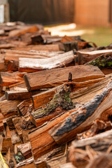 Stacked firewood with moss and bark