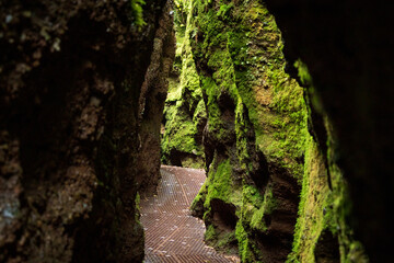 Dragon Gorge, Hiking area in Eisenach, Thuringia, Germany