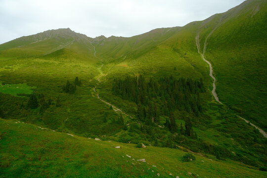 Green mountains in Kyrgyzstan, beautiful track