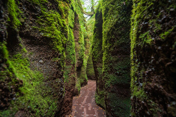 Dragon Gorge, Hiking area in Eisenach, Thuringia, Germany