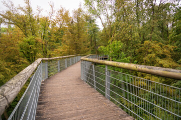 Boardwalk at Hainich National Park, National park in Thuringia