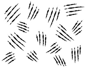 Claw marks collection set. Beast claw in hand drawing, monster claw vector