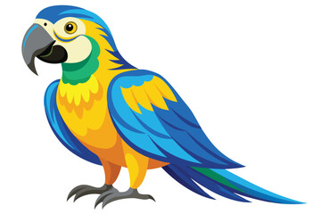 blue and yellow macaw Ara bird illustration on white background.