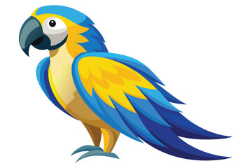 blue and yellow macaw Ara bird illustration on white background.