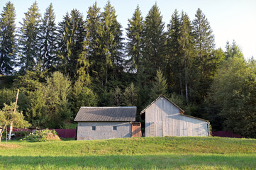 Obraz premium Barns on a hill in front of a forest.
