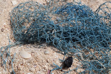 Close up of pieces of fishing net on beach sand