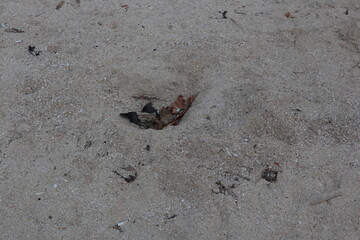 blurry photo of beach sand