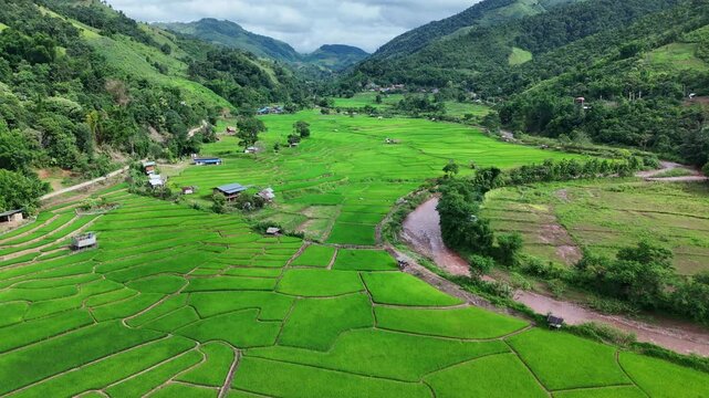 Aerial view of Green Terraces rice field, a beautiful natural beauty on mountain in Nan, Ban wen Rice Terraces, Bokluea Nan Province, Thailand.