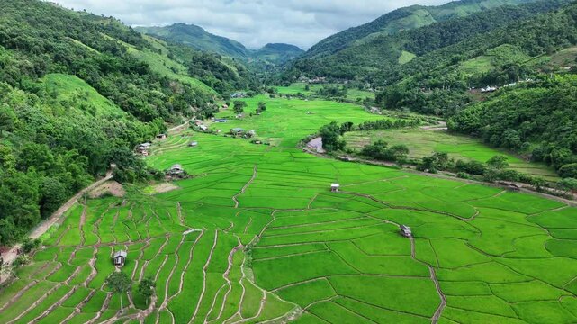 Aerial view of Green Terraces rice field, a beautiful natural beauty on mountain in Nan, Ban wen Rice Terraces, Bokluea Nan Province, Thailand.