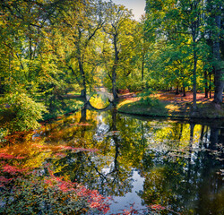 Calm autumn scene of Burbishko natural park. Wonderful morning view of foliage forest with arch stone bridge, Burbishkis village, Lithuania. Beauty of nature concept background.
